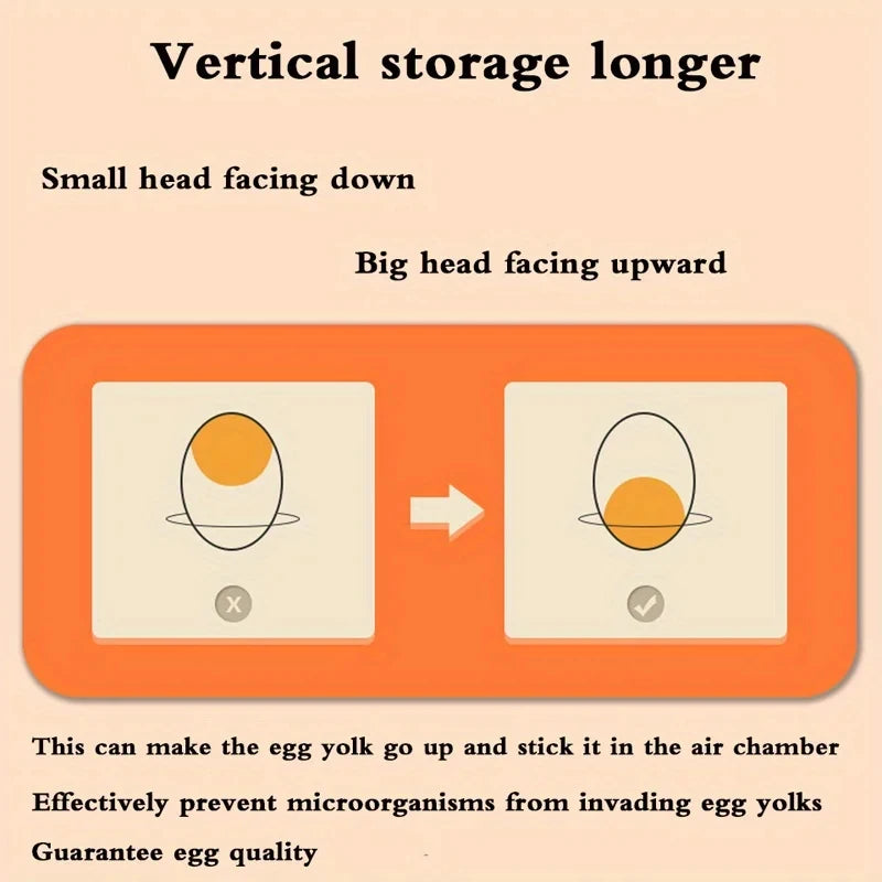 Fridge Egg Storage Box – Clear 2-Layer Stackable Egg Organiz - View 4