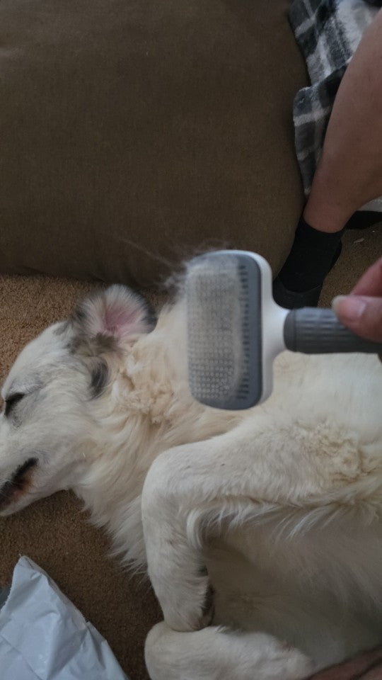 Self-Cleaning Pet Grooming Brush – Ergonomic Slicker Brush for Dogs & Cats - View 2
