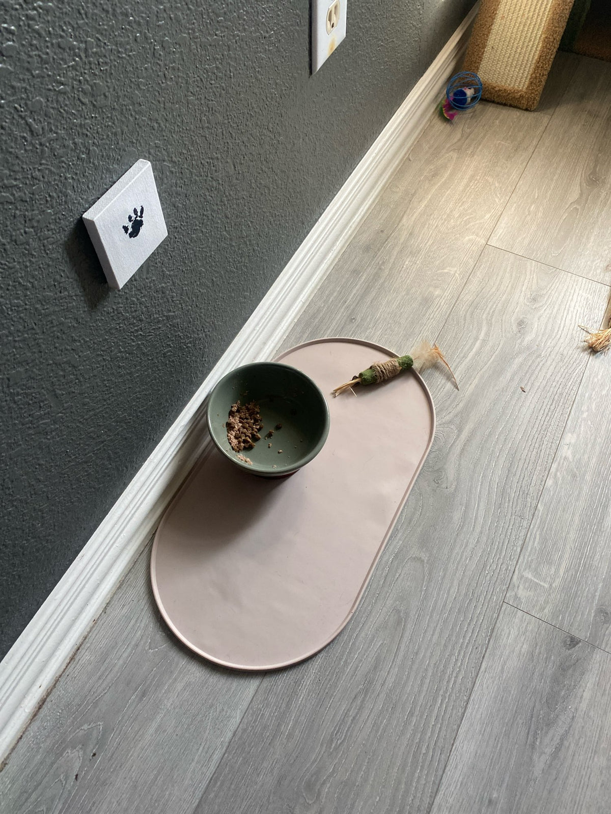 Silicone Pet Feeding Mat – Non-Slip Waterproof Dog & Cat Food Mat - View 2
