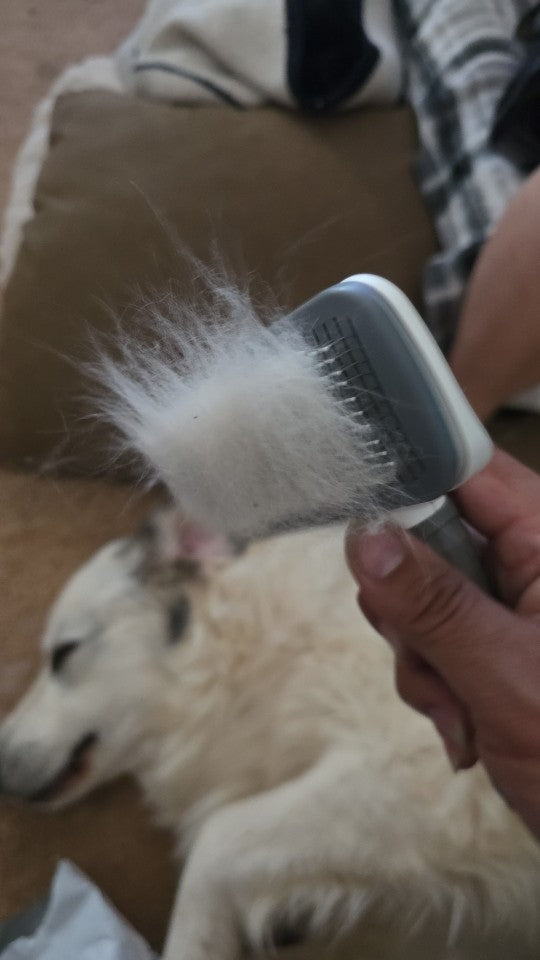 Self-Cleaning Pet Grooming Brush – Ergonomic Slicker Brush for Dogs & Cats - View 3