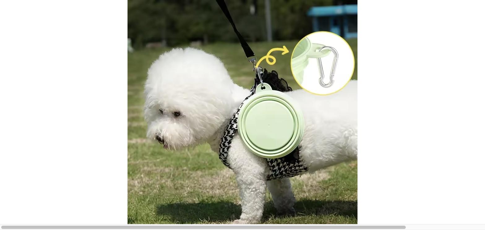 Collapsible Pet Travel Bowl with Carabiner - Silicone Dog & Cat Bowl